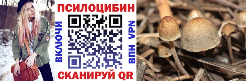хочу наркоту  блэк спрут как зайти  Псилоцибиновые грибы Psilocybine cubensis  Сысерть 